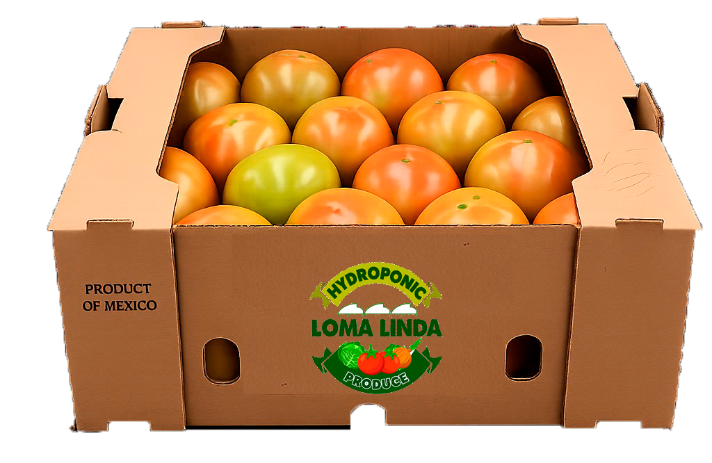 Tomate bola 2 tandas