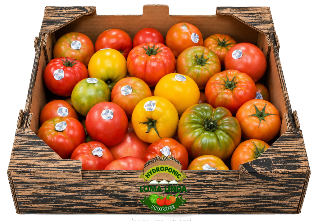 Tomate heirloom 10 lbs