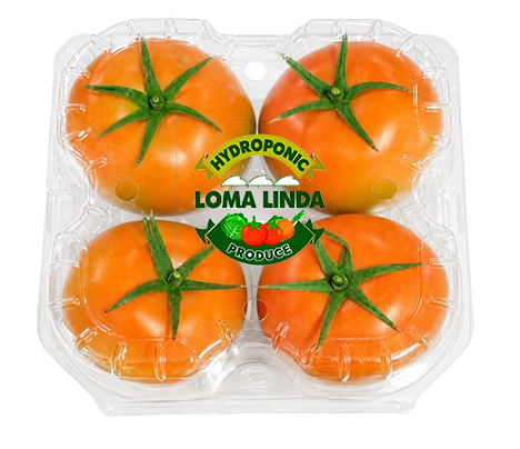 4 PACK BOLA